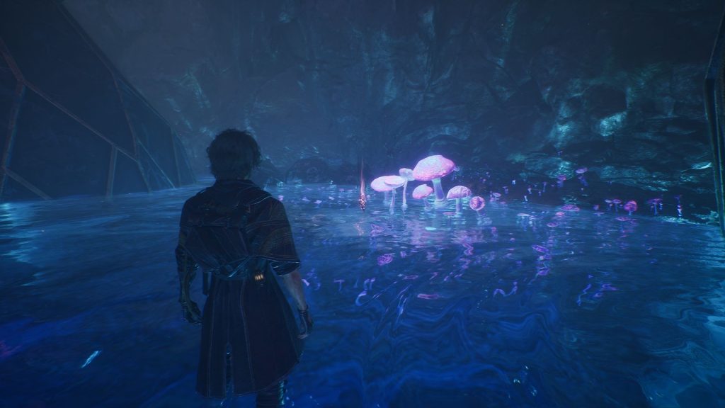 Скриншот-20-06-2025-222419-1-1024x576 Где найти синие грибы в Expedition 33