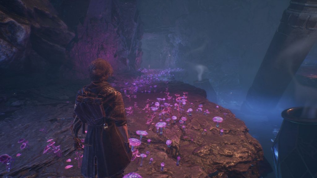 Скриншот-20-06-2025-224154-1024x576 Гнездо Эскье в Clair Obscur Expedition 33: как пройти, секреты и награды