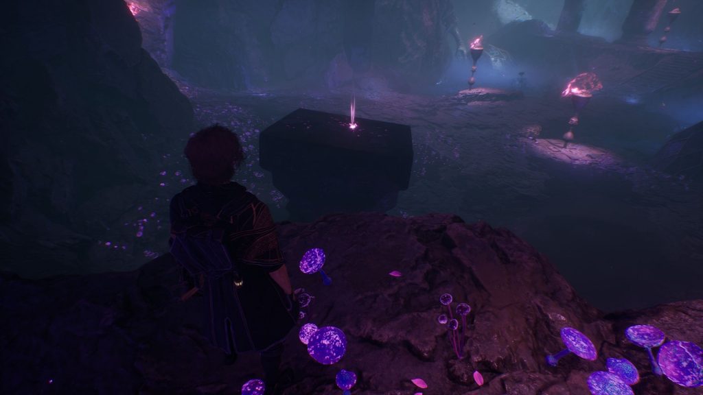 Скриншот-20-06-2025-230534-1024x576 Гнездо Эскье в Clair Obscur Expedition 33: как пройти, секреты и награды