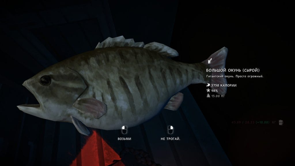 20250817171300_1-1024x576 Лонг Дарк: 3 эпизод — Байки в Отрадной Долине